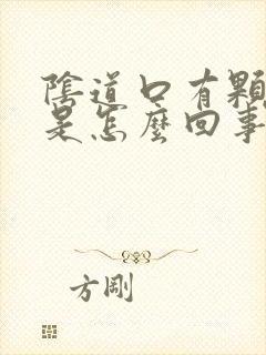 阴道口有颗粒状是怎么回事