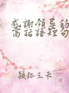 感谢领导的高情商话语短句