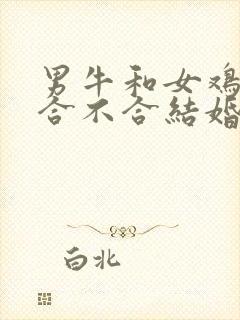 男牛和女鸡属相合不合结婚