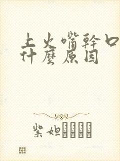 上火嘴干口渴是什么原因