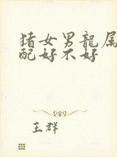 猪女男龙属相婚配好不好