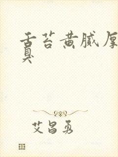 舌苔黄腻厚 口臭