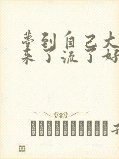 梦到自己大姨妈来了流了好多血