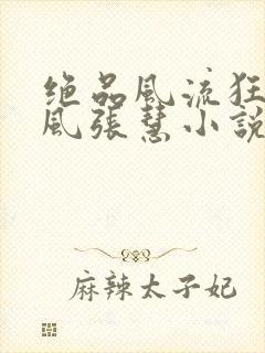 绝品风流狂医林风张慧小说在线看