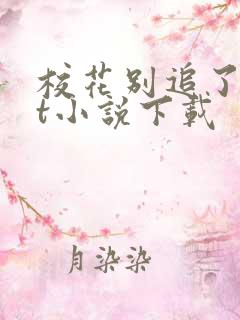 校花别追了txt小说下载