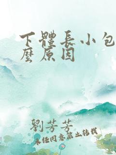 下体长小包是什么原因