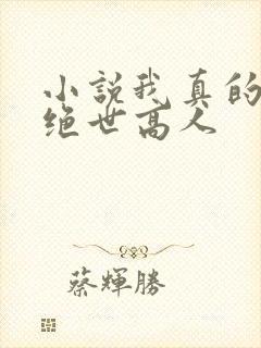 小说我真的不是绝世高人