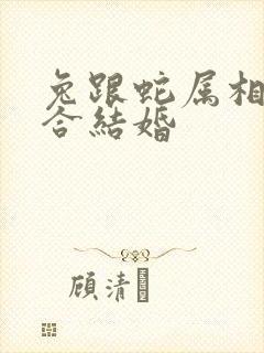 兔跟蛇属相合不合结婚