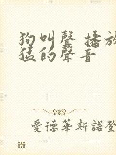 狗叫声 播放凶猛的声音