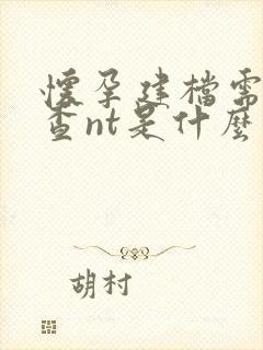 怀孕建档需要检查nt是什么