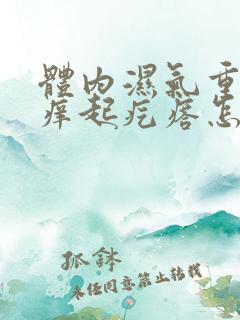 体内湿气重身上痒起疙瘩怎么办