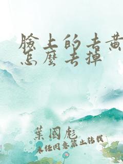 脸上的去黄褐斑怎么去掉