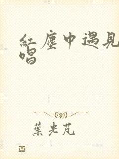 红尘中遇见你原唱