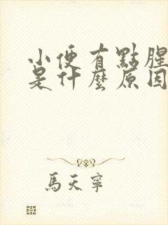 小便有点腥臭味是什么原因