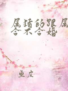 属猪的跟属兔的合不合婚