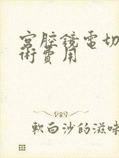 宫腔镜电切清宫术费用