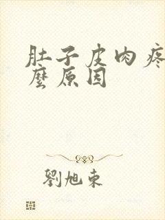 肚子皮肉疼是什么原因