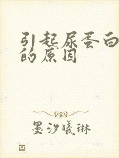 引起尿蛋白升高的原因