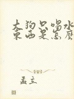 大狗只喝水不吃东西是怎么了