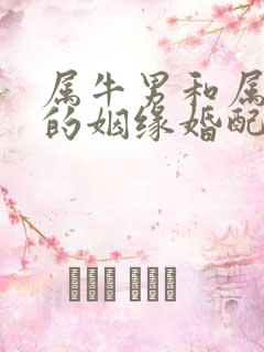 属牛男和属蛇女的姻缘婚配