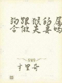 狗跟猴的属相适合做夫妻吗