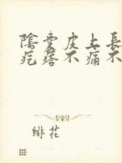 阴囊皮上长了小疙瘩不痛不痒