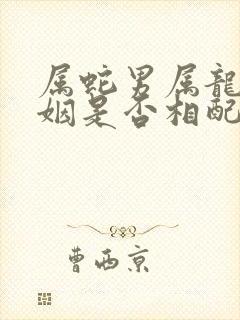 属蛇男属龙女婚姻是否相配