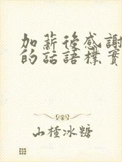 加薪后感谢领导的话语朴实点