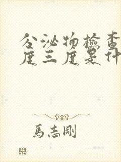 分泌物检查清洁度三度是什么意思