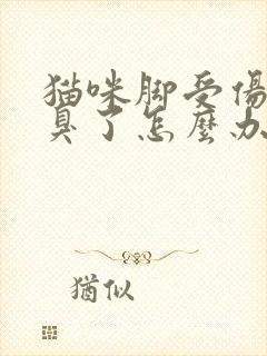 猫咪脚受伤化脓臭了怎么办