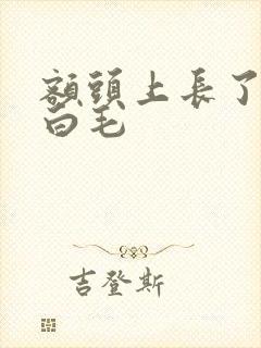 额头上长了一根白毛