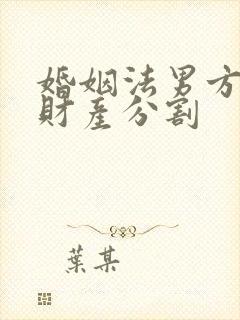 婚姻法男方出轨财产分割