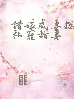 错嫁成妻总裁的私宠甜妻