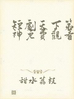 短剧天下第一厨神免费观看