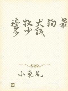 边牧犬狗最便宜多少钱