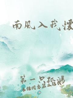 南风入我怀连载
