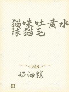 猫咪吐黄水有毛球猫毛