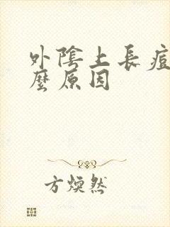 外阴上长痘痘什么原因