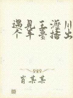 遇见王沥川在哪个平台播出