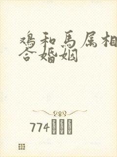 鸡和马属相合不合婚姻