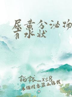 尿黄分泌物黄还有水状