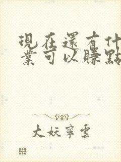 现在还有什么副业可以赚点钱