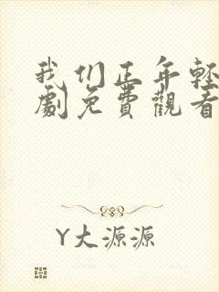 我们正年轻电视剧免费观看全集