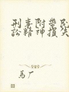 刑事附带民事诉讼精神损失赔偿