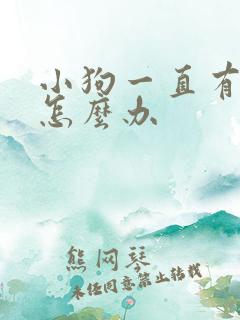 小狗一直有眼屎怎么办