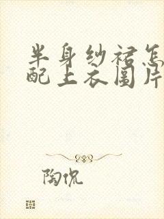 半身纱裙怎么搭配上衣图片