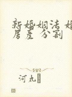 新婚姻法 婚前房产 分割