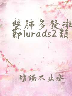 双肺多发微小结节lurads2类