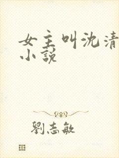 女主叫沈清欢的小说