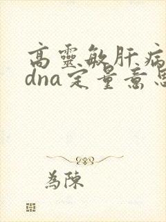 高灵敏肝病毒一dna定量意思